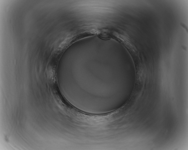 X0000100350031200806061124