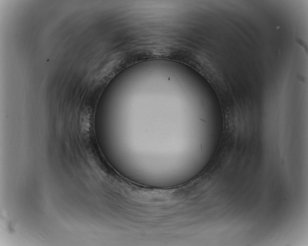 X0000100350032200806061124