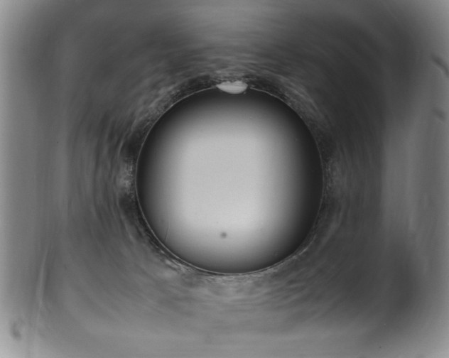 X0000100350033200806061124