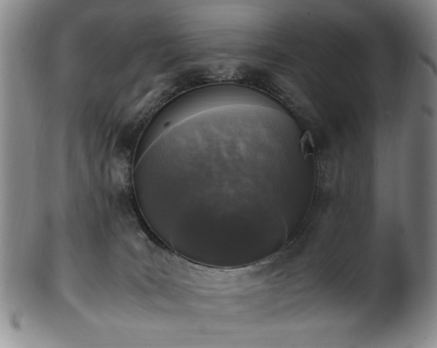 X0000100350035200806061124