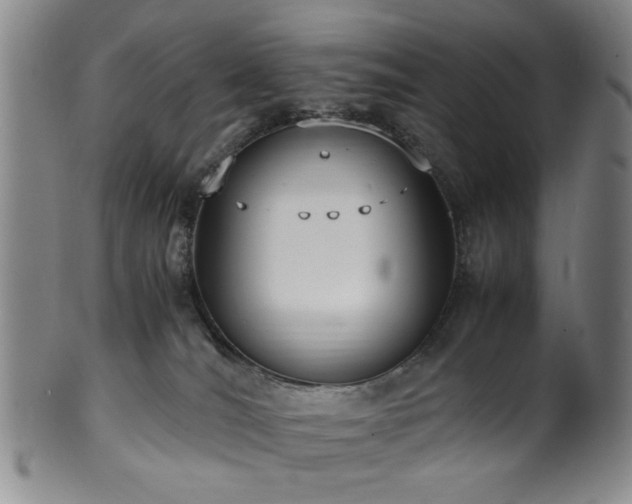 X0000100350036200806061124