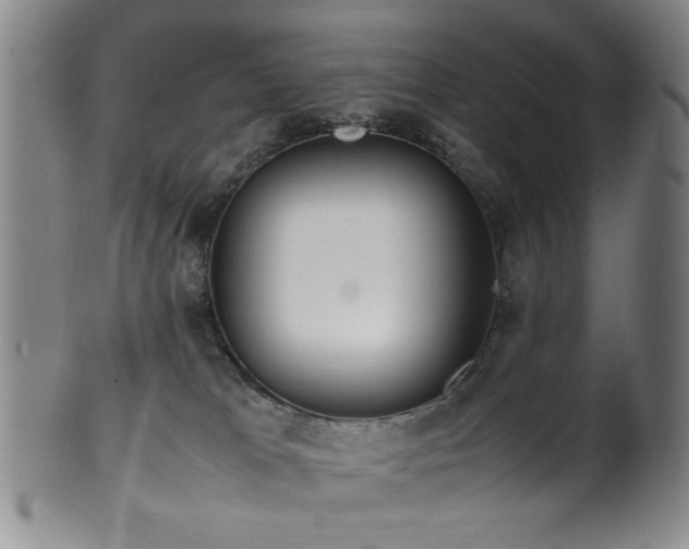 X0000100350037200806061124