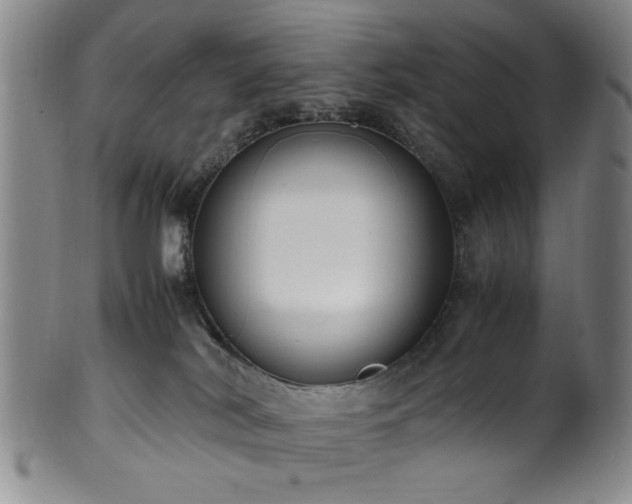 X0000100350038200806061124