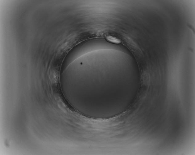 X0000100350039200806061124