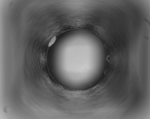 X0000100350040200806061124