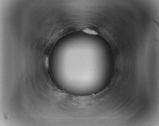 X0000100350041200806061124