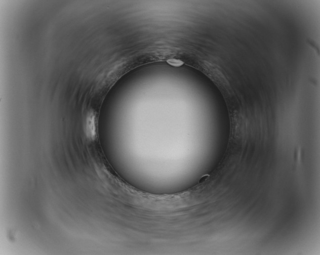 X0000100350042200806061124