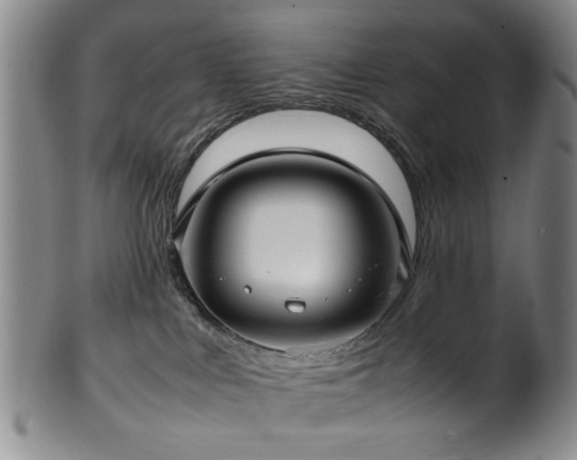 X0000100350043200806061124