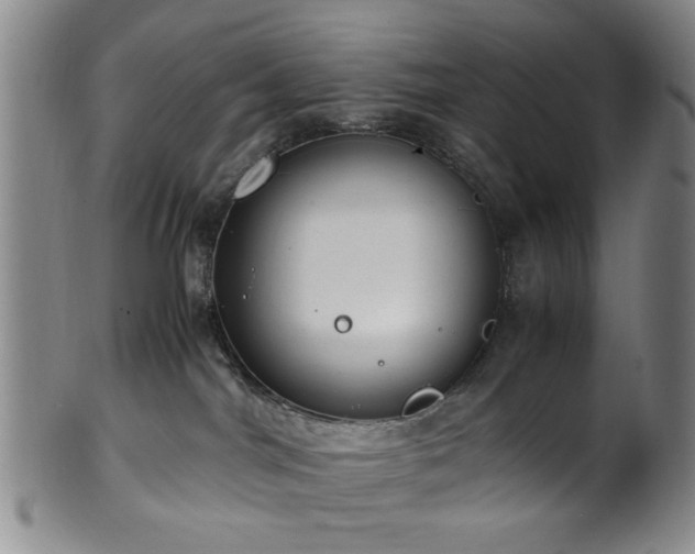 X0000100350044200806061124