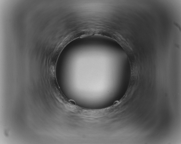 X0000100350045200806061124