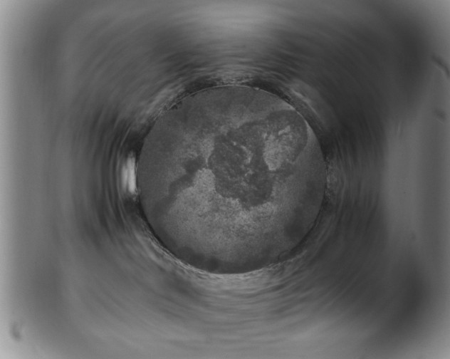 X0000100350046200806061124