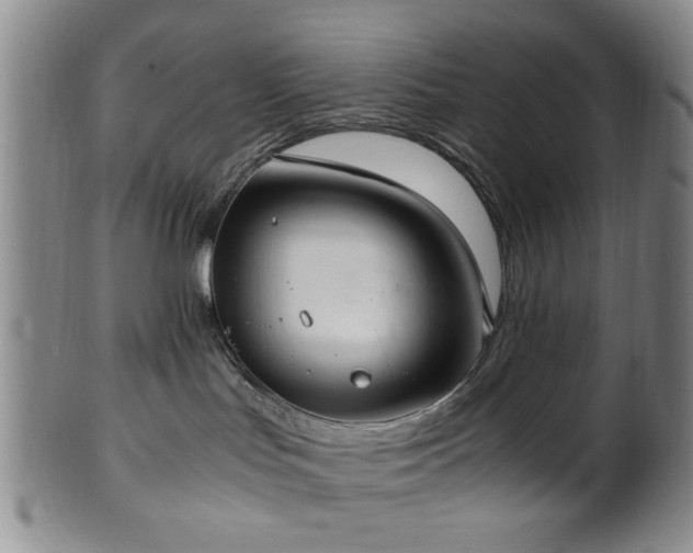 X0000100350047200806061124