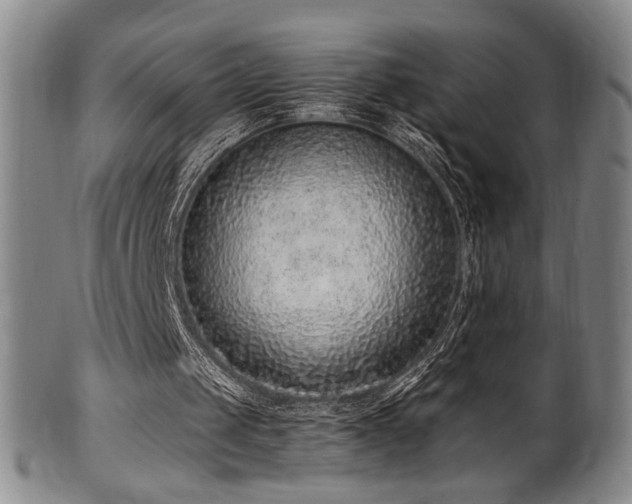 X0000100350049200806061123
