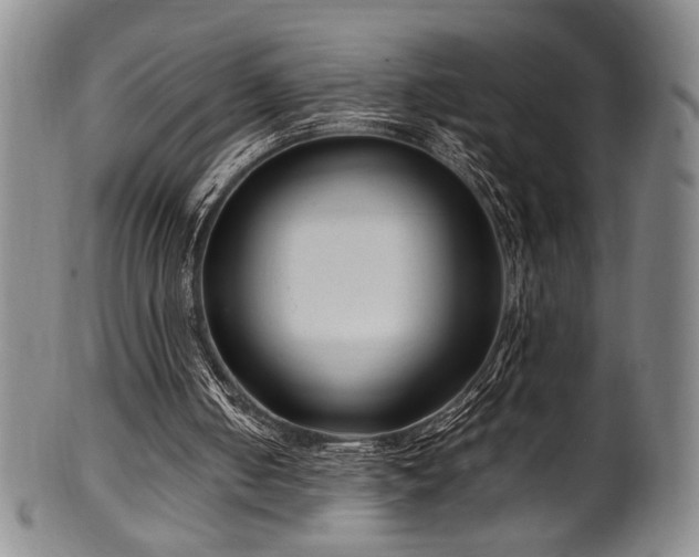 X0000100350050200806061123