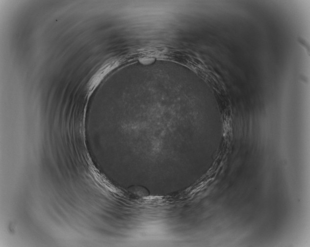 X0000100350052200806061123