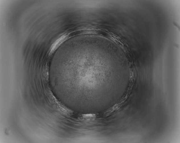 X0000100350053200806061123