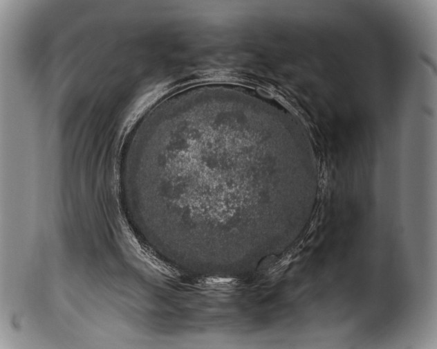 X0000100350055200806061123