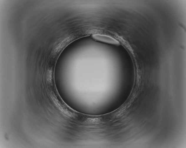 X0000100350057200806061124