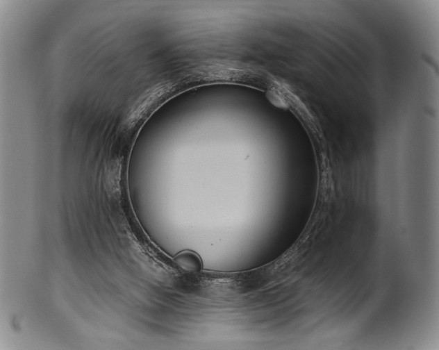 X0000100350058200806061124