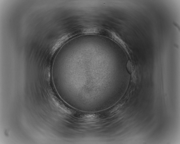 X0000100350059200806061124