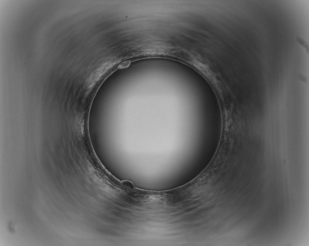 X0000100350060200806061124