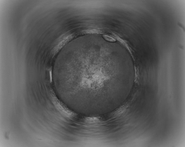 X0000100350061200806061124
