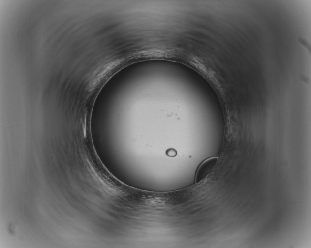 X0000100350062200806061124