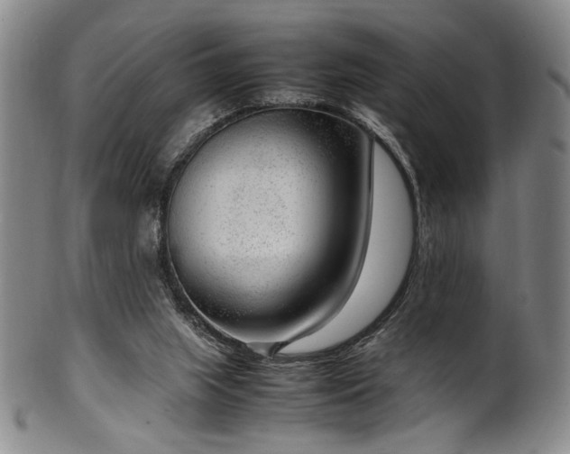 X0000100350063200806061124