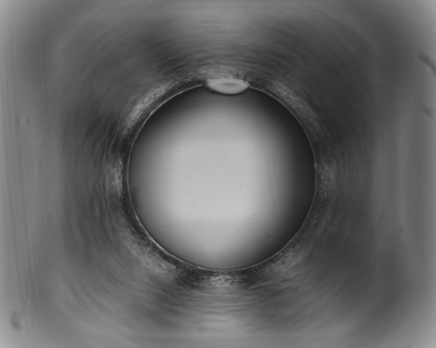 X0000100350064200806061124
