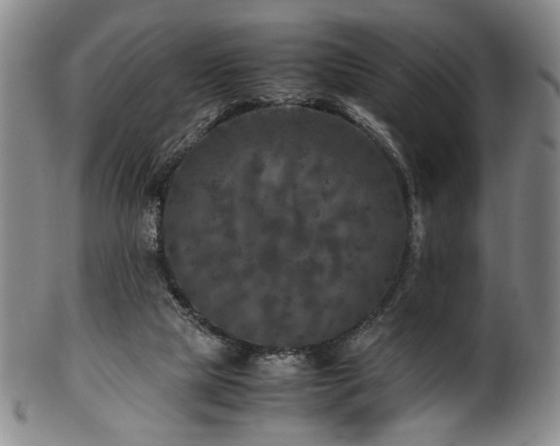X0000100350065200806061124