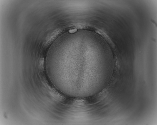 X0000100350066200806061124
