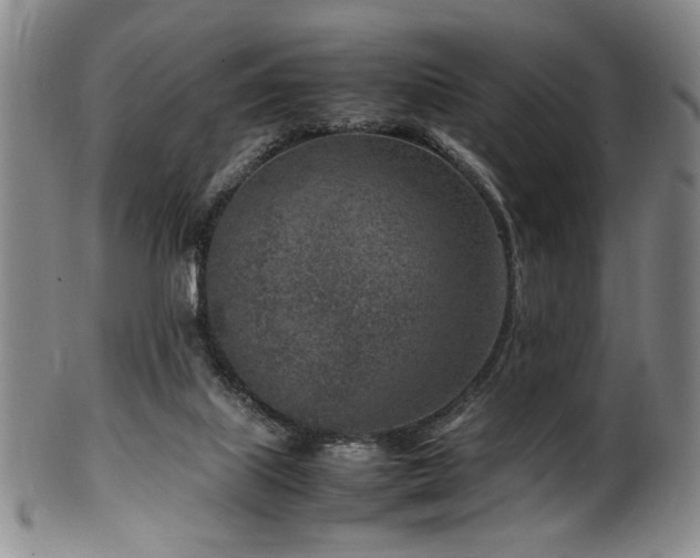 X0000100350067200806061124