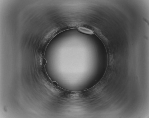 X0000100350068200806061124