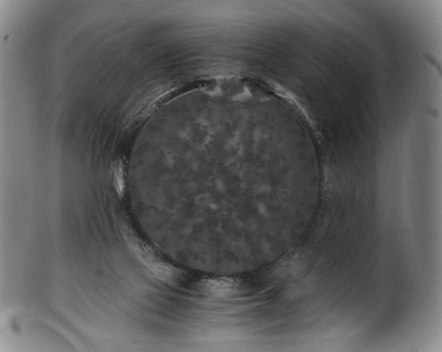 X0000100350069200806061124
