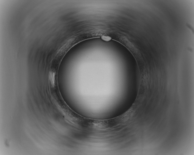 X0000100350070200806061124