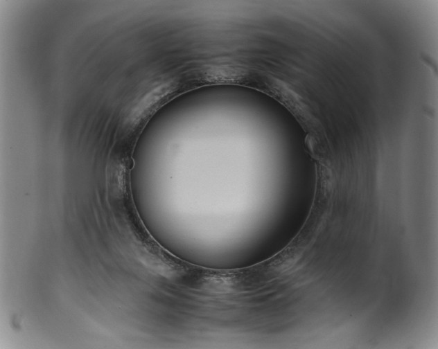 X0000100350071200806061124
