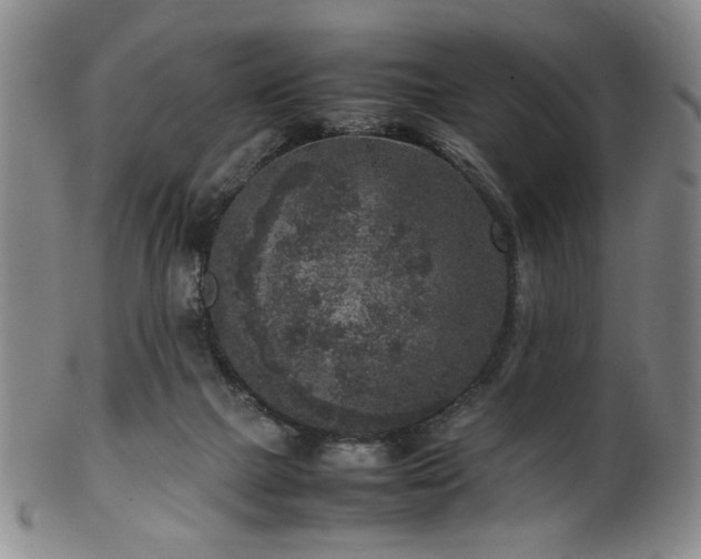 X0000100350073200806061124