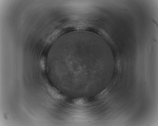 X0000100350074200806061124