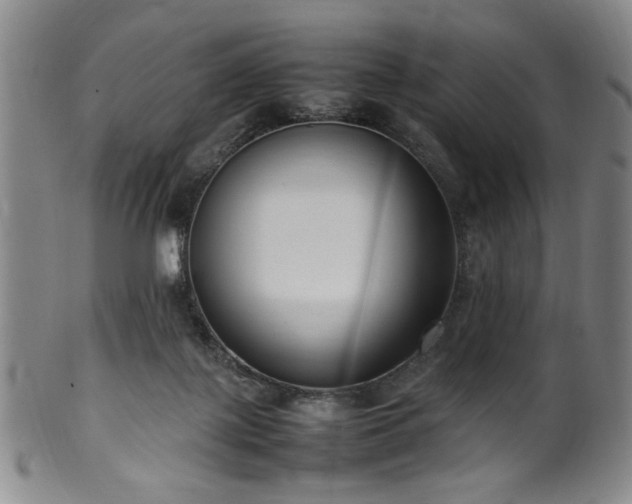 X0000100350075200806061124