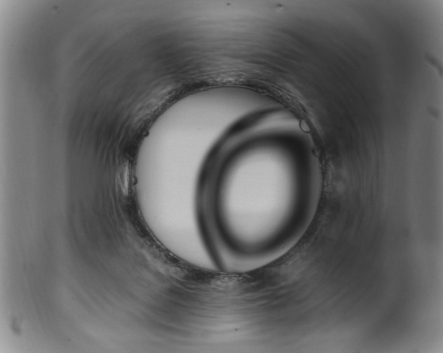 X0000100350076200806061124