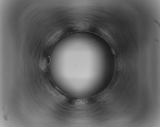 X0000100350077200806061124