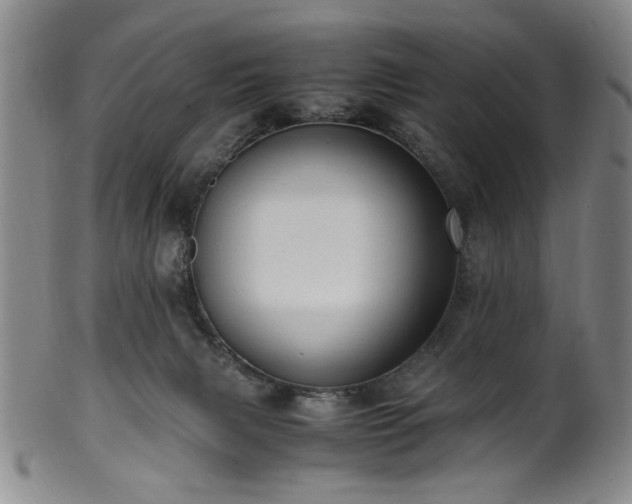 X0000100350079200806061124