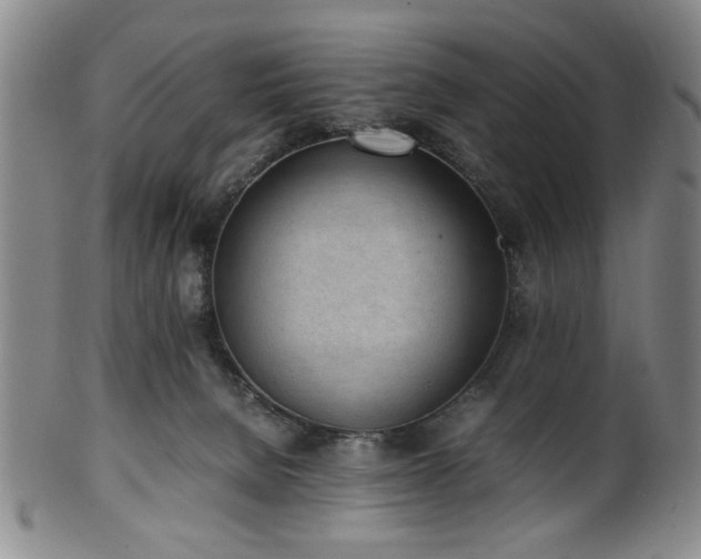 X0000100350080200806061124