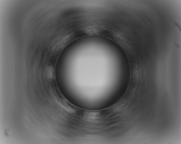X0000100350081200806061124