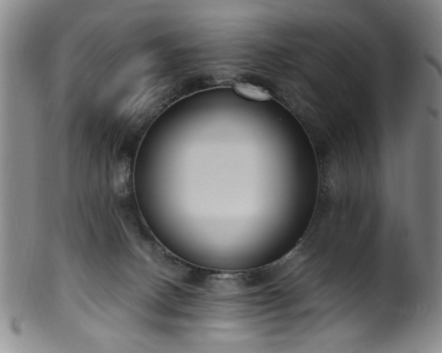 X0000100350082200806061124
