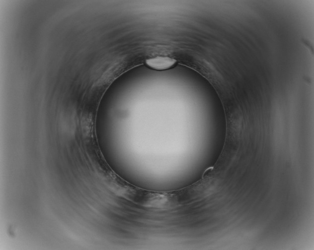X0000100350083200806061124