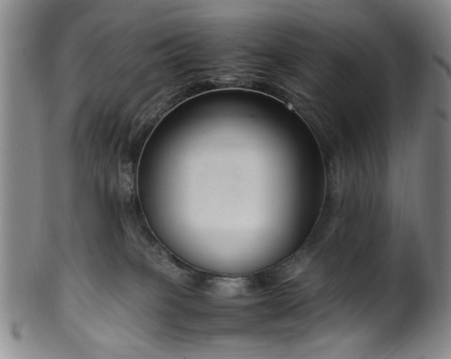 X0000100350085200806061124