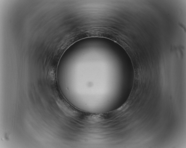 X0000100350086200806061124