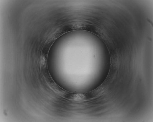 X0000100350087200806061124