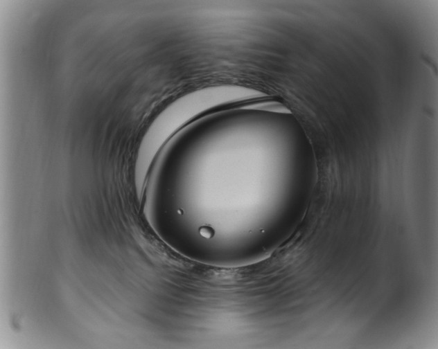 X0000100350088200806061124